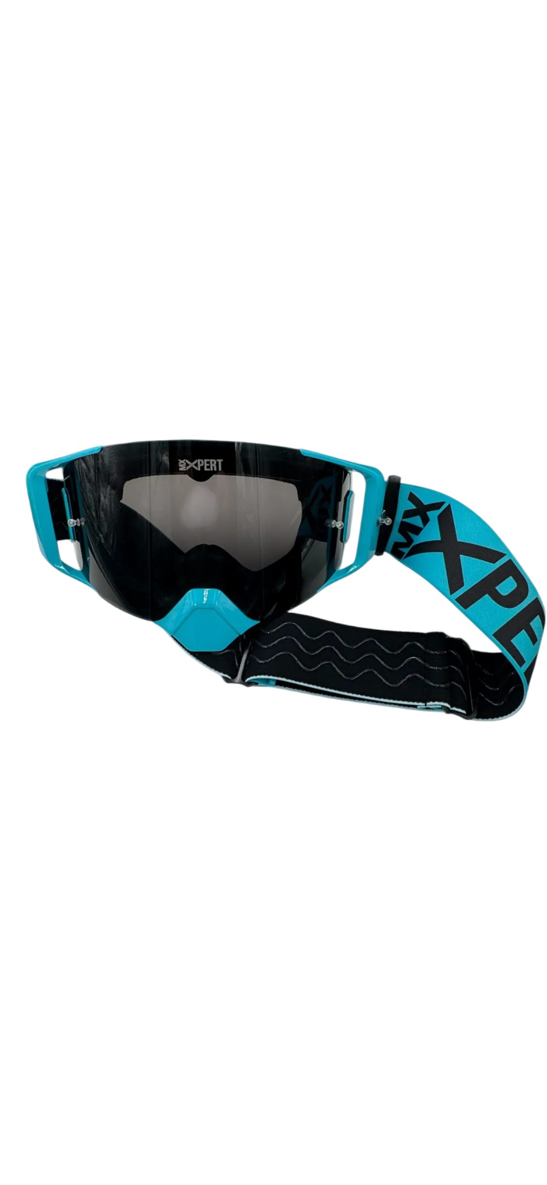 C - Pro Goggles